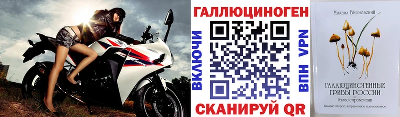 Псилоцибиновые грибы мицелий  omg маркетплейс  Нестеров 